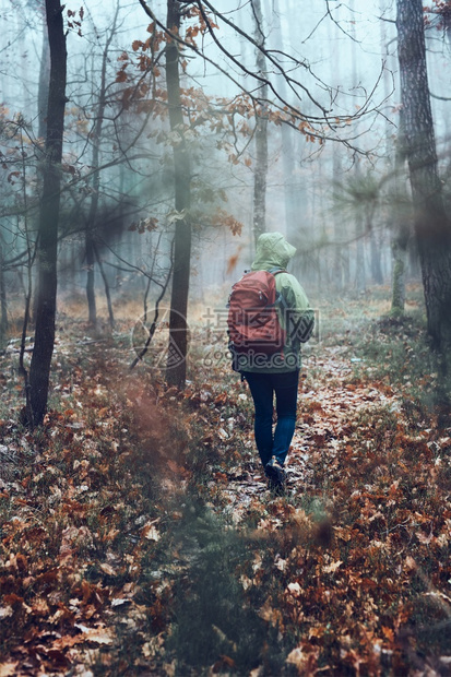 带着背包在森林里游荡的女人在秋天寒冷的一回到了中年活跃女视野积极走在森林道路上花时间女人与背包在森林周围游荡秋天寒冷的一踪迹步行图片