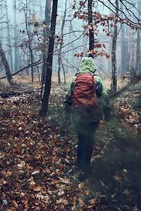 勘探带着背包在森林里游荡的女人在秋天寒冷的一回到了中年活跃女视野积极走在森林道路上花时间女人与背包在森林周围游荡秋天寒冷的一假期图片