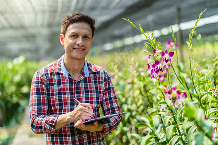 热带绿色兰花园的原始小商业主幸福创始人检查和写作紫兰花正在园农场开在泰国Bangkok种植的普罗勒兰花中开朵图片