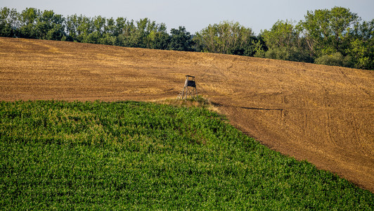 在日落前夏的农业地貌收割的田野对捷克中部波西米亚玉的绿地做出了明确定义蓝色的云季节图片