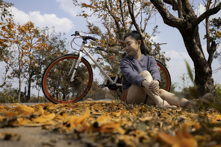 人们满的景观美丽年青轻女子坐在她骑自行车的户外露天在棕榈树边上布提亚莫诺斯珀玛ButeaMonosperma和来自然的东南部布提图片