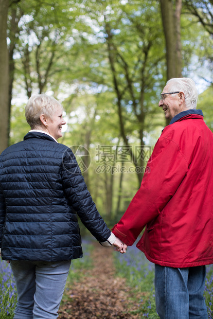 在后面树灰色的老年夫妇通过蓝铃木手牵行走的后视线图片