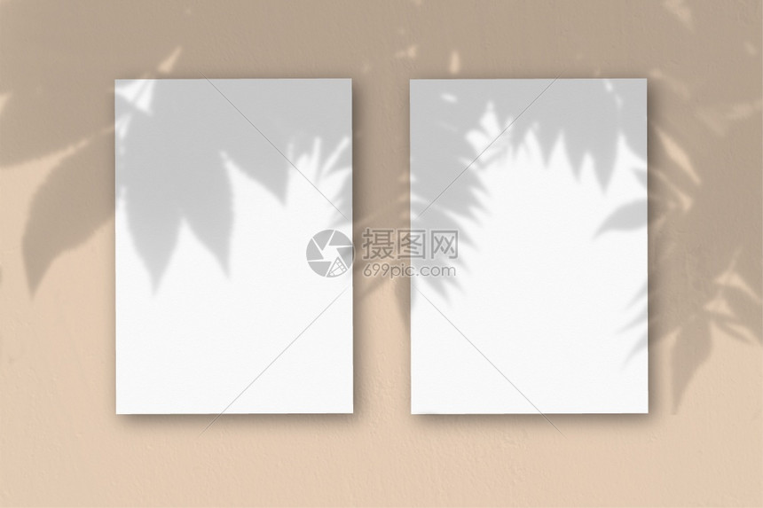 桃桌背景上的2张垂直纹理白纸带有植物阴影覆盖的样机自然光从外来植物投射阴影水平方向带有植物阴影的样机覆盖自然光从外来植物投射阴影图片