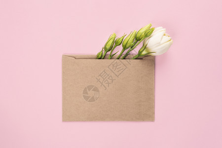 信封里的花朵图片