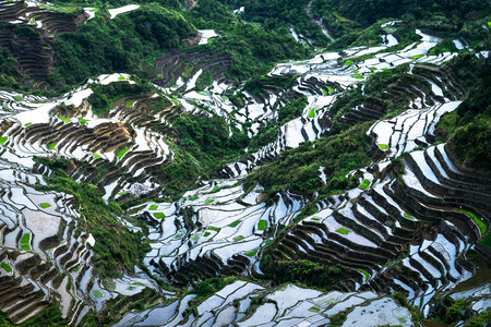 在菲律宾伊富果省巴努埃Ifugao的水中以天空色彩多的反射方式对稻田梯进行惊人的抽象提炼巴拿威教科文组织有机的图片