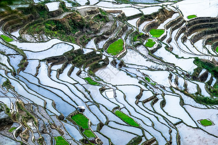 亚洲在菲律宾伊富果省巴努埃Ifugao的水中以天空色彩多的反射方式对稻田梯进行惊人的抽象提炼字段巴拿威图片