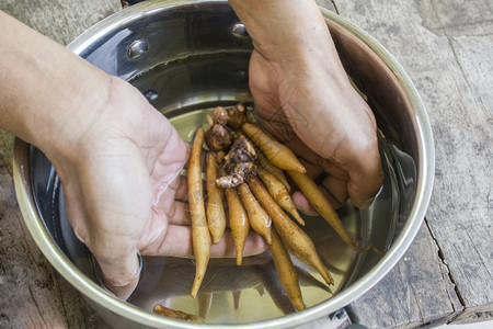 新冠Kaempferia提取的饭食为烹饪提供药用泰国食物反Covid19提取自然药用植物概念的第一步抗Covid19提取一种天然图片