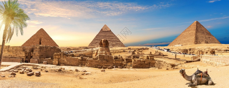 寺庙埃及金字塔和Sphinx全景手掌后面有一只骆驼自然废墟图片
