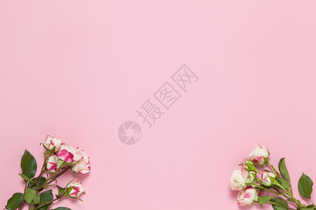女礼物假期粉红背景的白色和小玫瑰复制空间最小风格平板套装贺卡邀请函3月8日214生情人节母亲妇女概念图片