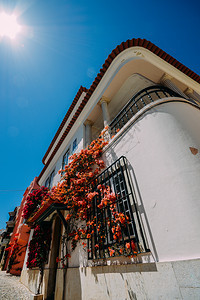 城市的春天葡萄牙卡斯伊的粉刷过房子覆盖着五颜六色的九重葛葡萄牙卡斯伊的粉刷过房子覆盖着五颜六色的九重葛户外图片