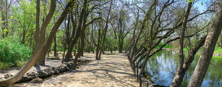 生物圈在乌克兰AskaniaNova自然保护区的阳光明媚春季日溪流上乌克兰AsseniaNova自然保护区植物园法尔兹费恩图片
