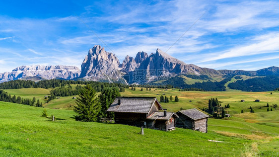 绿色教科文组织DolomiteSeceda山脉背景的Odle山区DolomiteTrentinoAltoAdige意大利南蒂罗尔图片