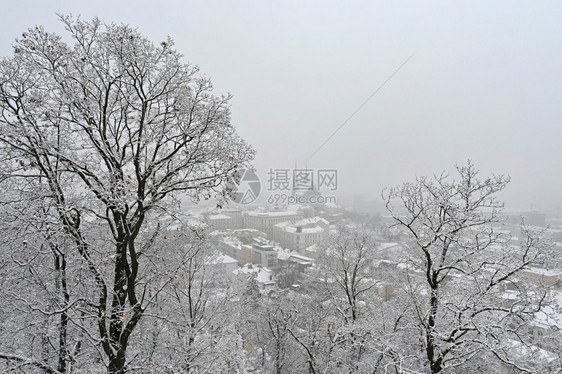 宗教圣徒捷克布尔诺市欧洲彼得罗夫圣彼得大教堂和保罗美丽古老建筑以及一个受欢迎的旅游景点冬季降雪的风景游客图片