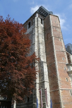 钟19年圣阿涅斯的近邻其13世纪的教堂位于比利时圣特赖登历史中心被教科文组织列为世界遗产地点之一19年哥特广场图片