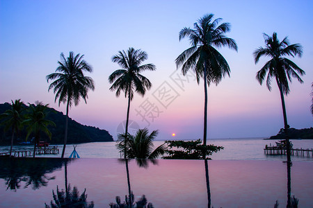 在泰国Trat省Trat县Kohkood岛的椰子树地区太阳落日反射在水面露地上椰子树面积为砰Bao达拉暮海岸图片
