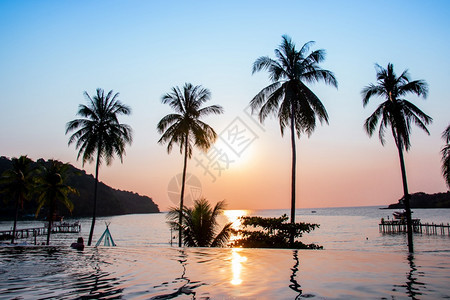 红色的在泰国Trat省Trat县Kohkood岛的椰子树地区太阳落日反射在水面露地上椰子树面积为砰Bao快乐的敖图片