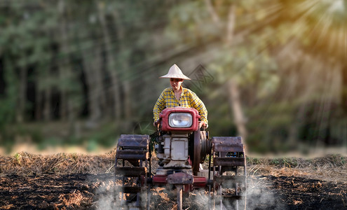 环境犁过走利用步行拖拉机在泰国农村边的美丽日落下雨时用步行拖拉机为稻田耕种水作物的女农民图片