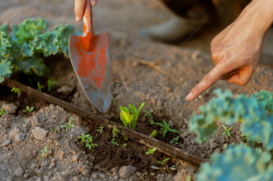 园艺概念一个年轻的农民在植物周围铲泥土让氧气很容易从根部穿透的年轻农民幼苗得到在职的图片