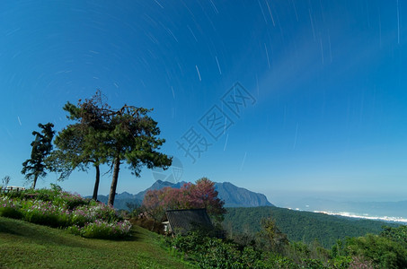 宇宙森林美丽的夜景和星在天空中移动长时间曝光形成Doimaetamansanpakiachiangmaithailand美丽在晚图片