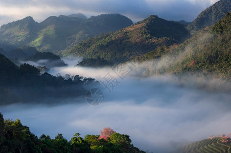 清迈泰国冬山旅游景点风雾广的泰国大众观光胜地在冬季山中漫着大雾的游客点阳光热带景观图片