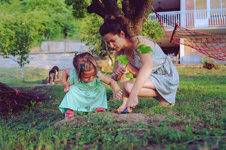 环境的手抓住年轻母亲及其女儿在花园后院或自然田种植一棵树的年轻母亲及其女儿图片