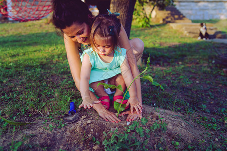 年轻妇女及其儿在花园后院或自然田种植一棵树并父母幼苗手指图片