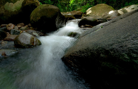 叶子热带森林自然背景的瀑布绿色季节旅行水流顺畅生态旅游在丰盛的野生瀑布风雨中绿季行走林地之瀑布冥想荒野图片