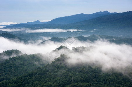 阴霾在山上绿林喷洒美丽的雾空中景象在泰兰以北的山脉上日出美丽雨林风景清晨有雾美丽的笼罩着山上绿森林寒冷云背景图片