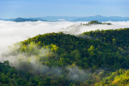 在山上绿林喷洒美丽的雾空中景象在泰兰以北的山脉上日出美丽雨林风景清晨有雾美丽的笼罩着山上绿森林黎明早晨户外背景图片