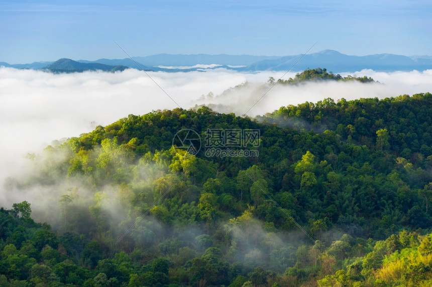 在山上绿林喷洒美丽的雾空中景象在泰兰以北的山脉上日出美丽雨林风景清晨有雾美丽的笼罩着山上绿森林黎明早晨户外图片