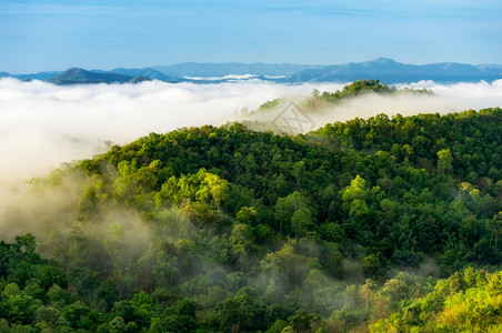 在山上绿林喷洒美丽的雾空中景象在泰兰以北的山脉上日出美丽雨林风景清晨有雾美丽的笼罩着山上绿森林树木天线常绿背景图片