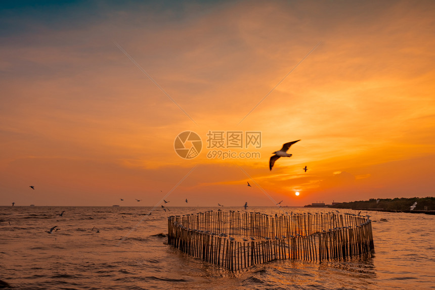 景区美丽的日落天空和海上云彩在红树林附近飞行泰国海岸或的风景和日落天空是良好环境泰国的红树林生态系统旅游森林图片