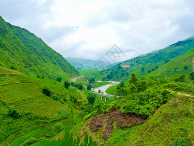 爬坡道乡村的部落越南北山SapaChapa附近的老挝稻田越南泰图片