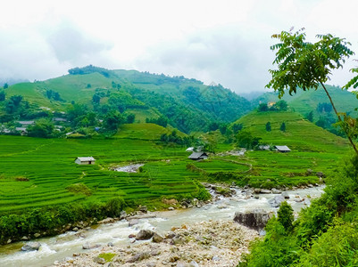 靠近亚洲越南北山SapaChapa附近的老挝稻田越南泰环境图片