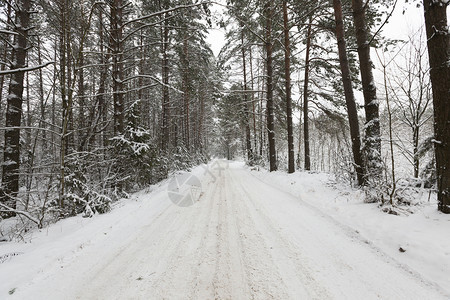 冰雪在寒冷的紧贴中下雪野外深处是冬季照片掌声下雪的车道冷冻图片
