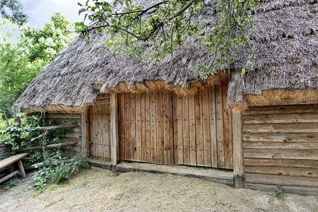 一种自然乌克兰古老的传统农村谷仓上面有干草的屋顶和在绿色花园中围着一个木头铁丝栅栏的枯草旧传统乌克兰农村谷仓上面有干草的根顶旧乌传统的高清图片素材