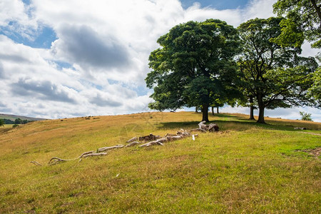 团结的柴郡地产由信托机构管理由英国Cheshire省Cheshire山峰区一个鹿角公园的座正式花环绕的豪宅房组成土地由信托机构管图片