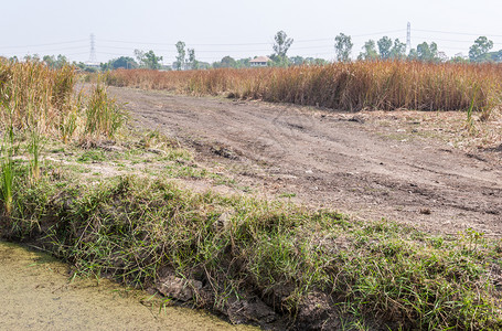 地球沿着小路草地通往建筑工的泥土路建造位于郊区附近新村的建筑工地图片