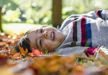 草冒险男孩在阳光明媚的白天躺在树下落的叶上孩子躺在秋叶上玩得开心用好奇的脸仰望天空童年秋季为孩子活动笑声叶子图片