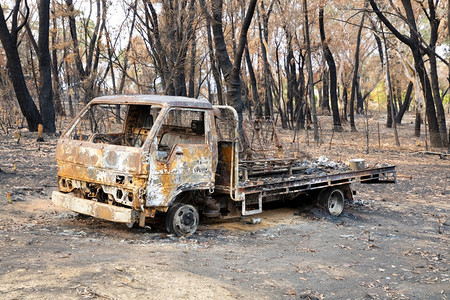 山脉吠一辆燃烧的卡车在蓝山一林大火后严重烧毁了Eucalyptus树分支图片
