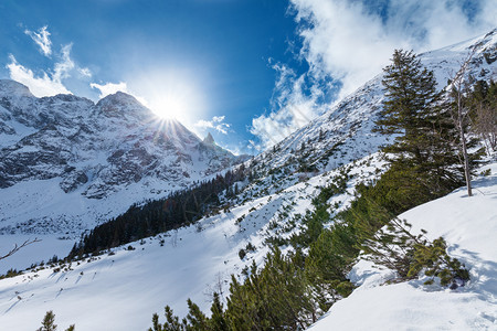 冬季雪景风光图片