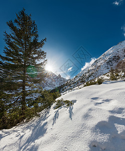 冬季雪景风光图片