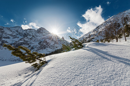 冬季雪景风光图片