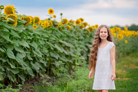 走伸出的一个长发女孩美丽肖像在田地背景上有着向日葵花充满欢乐的情感伸展相亲手看着拍一个长发女孩的漂亮肖像在有向日葵花的田地背景上图片