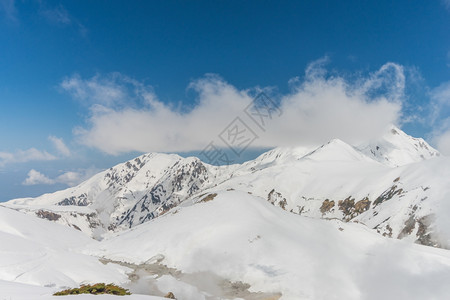 冬季雪景风光图片