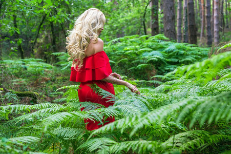 一个美丽的金发女背影身着一条红洋装触摸着仙女森林里的一头野兽大气中最美极了高品质的照片美丽金发女的背影穿著一件红洋装碰着仙女森林图片