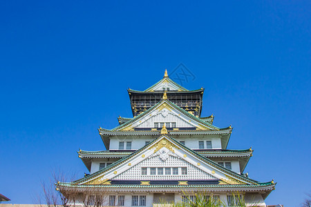 樱花本州三月十四日2018年大阪城堡在朝仓盛开花的期间日本即将开花秋天图片