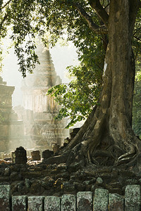 素可泰雕塑日出时古老的寺庙和塔在泰国苏霍历史公园Sukhothai古石墙上种植大树亚洲人图片