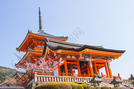 在日本京都盛开的樱桃花之期间清水津寺庙内美丽的建筑将会在日本京都开花潘皮萨尔城市文化图片