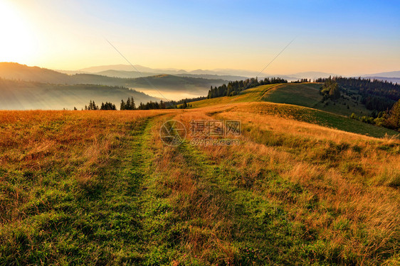 清晨黎明时喀尔巴阡山脉美丽的景观和沿着山丘脊行走的公路漫雾阳光灿烂的洪水喀尔巴阡山脉峰在晨日中满是金光照亮的谷波洛尼娜太阳的图片